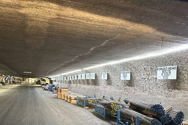 Strip Lighting_Pic 2_2-19-26